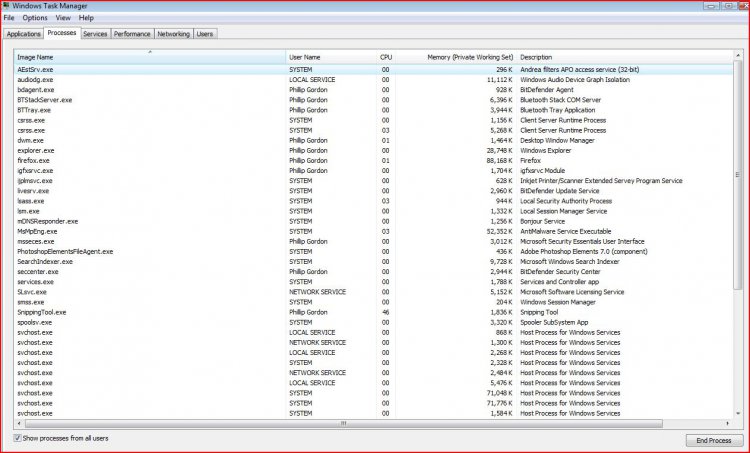 Task Manager- Processes.JPG