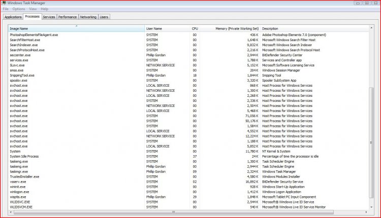 Task Manager- Processes.2.JPG