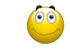 thumbsup-thumbs-up-approve-ok-smiley-emoticon-000283-medium.gif