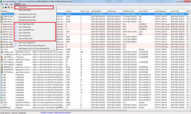 Mozilla Cache View Filter.jpg