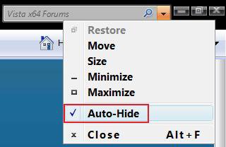 IE7_Auto_Hide.jpg