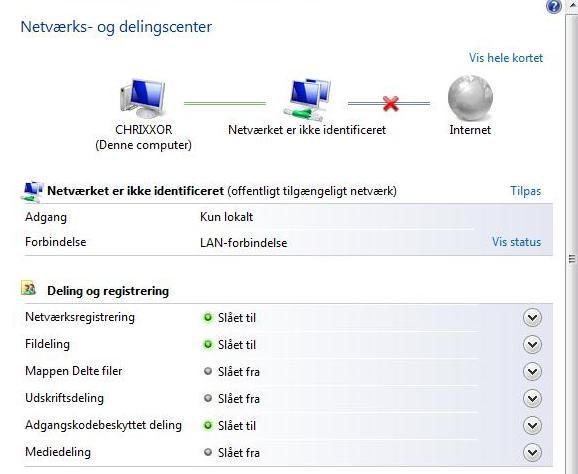 Netværksdeling.jpg