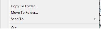 CopyandMovetoFolder.jpg