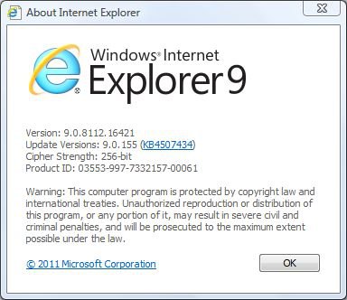 IE9 Version.JPG