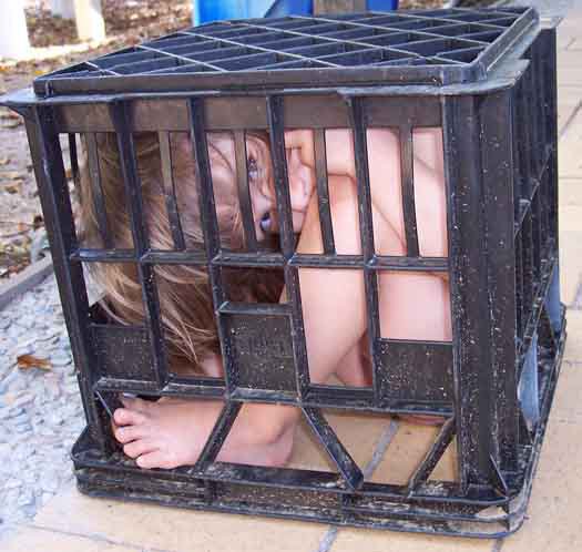 Indi in crate 5-07.jpg