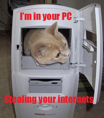 pc.jpg